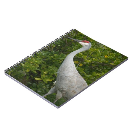 砂丘クレーン鳥の緑の離れ写真 ノートブック (左側)