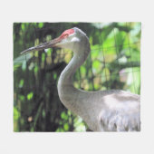 砂丘クレーン フリースブランケット (正面(横))