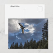 砂丘クレーン ポストカード (正面/裏面)