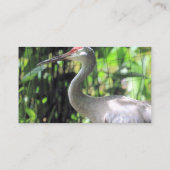 砂丘クレーン 名刺 (裏面)