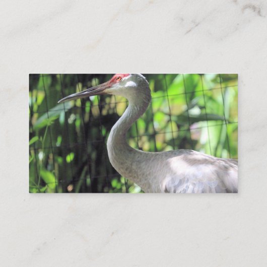 砂丘クレーン 名刺 (裏面)