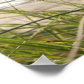 砂丘グラスビューポスター ポスター (角)