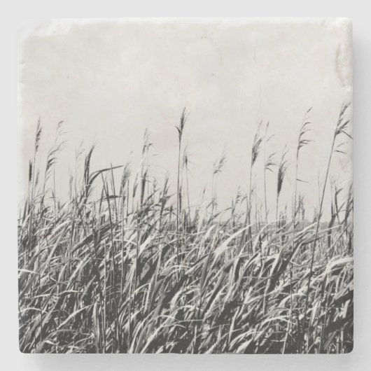 砂丘トリプティクIII ストーンコースター (正面)