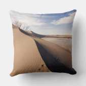 砂丘層ブルーノードゥネス州パーク クッション (裏面)