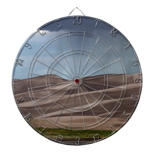 砂丘素晴らしに雨 ダーツボード (正面)