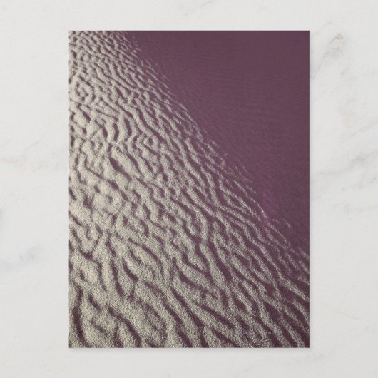 砂丘2 ポストカード (正面)
