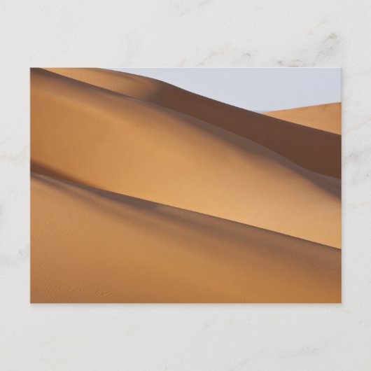 砂丘、サハラ砂漠、モロッコ2 ポストカード (正面)