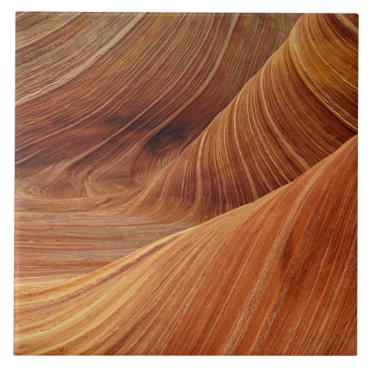 砂丘 タイル (正面)