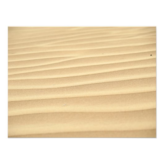 砂丘 フォトプリント            (正面)