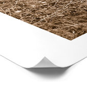 砂丘 ポスター (角)