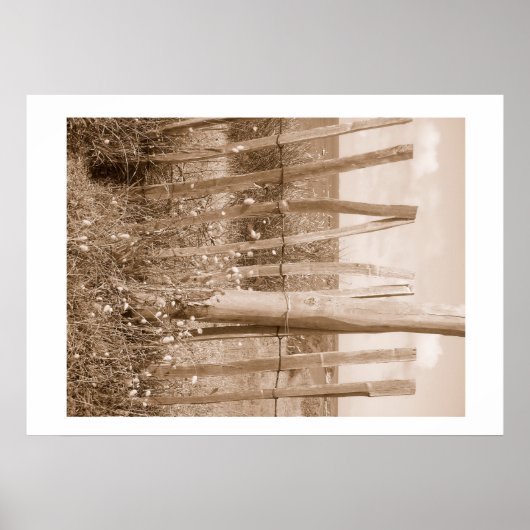 砂丘 ポスター (正面)