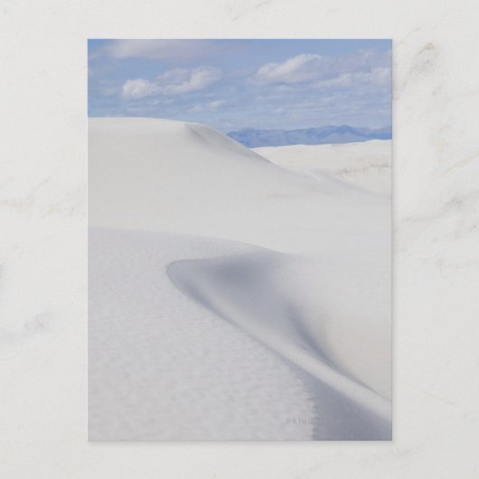 砂丘 ポストカード (正面)