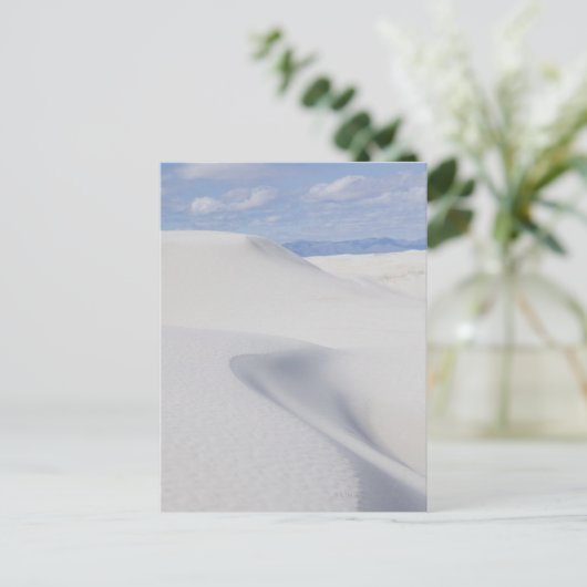 砂丘 ポストカード (スタンド正面)