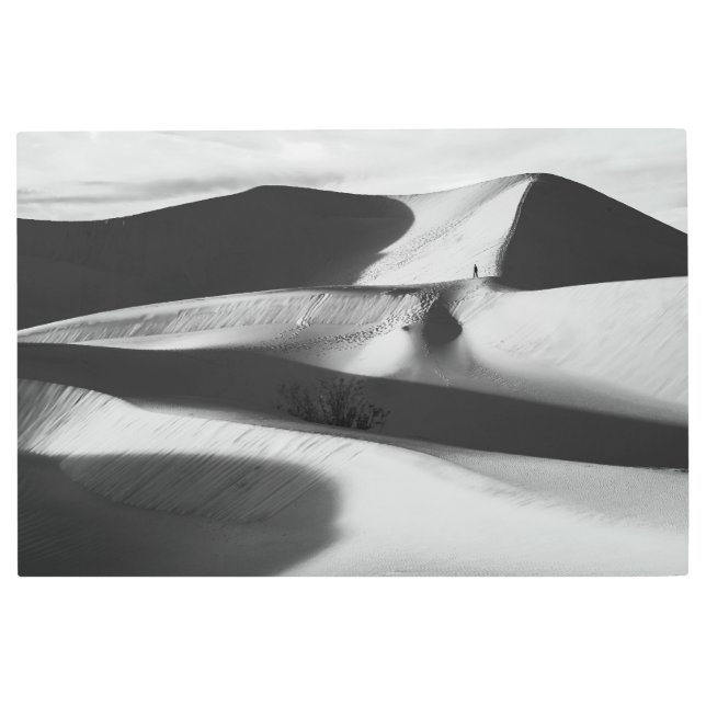 砂丘 メタルプリント (正面)