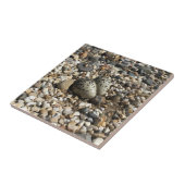 砂利で卵を殺す タイル (側面)