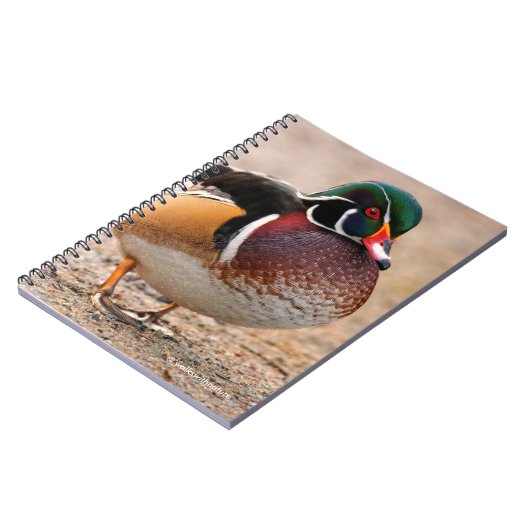 砂利上の木のアヒル ノートブック (左側)