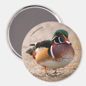 砂利上の木のアヒル マグネット (正面/裏面)