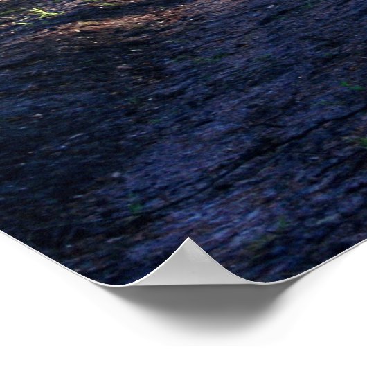 砂利道を覆う夏の木 ポスター (角)