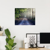 砂利道を覆う夏の木 ポスター (ホームオフィス)