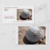 砂場の名刺 名刺 (正面/裏面)