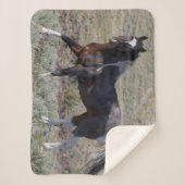 砂塵浴後の野馬 シェルパブランケット (正面)