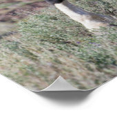 砂塵浴後の野馬 ポスター (角)