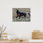 砂塵浴後の野馬 ポスター (キッチン)