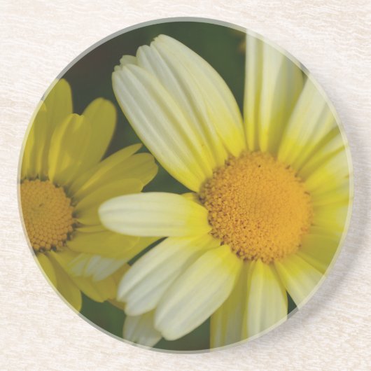 砂岩のドリンクコースター コースター (正面)