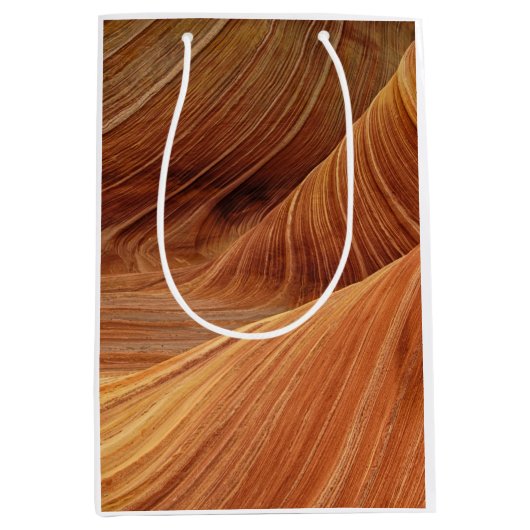 砂岩の岩層 ミディアムペーパーバッグ (正面)