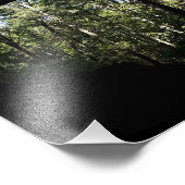 砂岩の森のアーチ フォトプリント            (角)