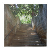 砂岩はタイル歩みます タイル (正面)