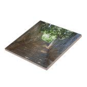 砂岩はタイル歩みます タイル (側面)