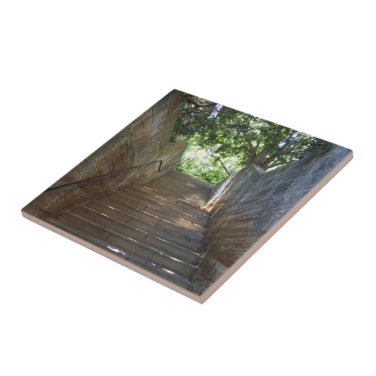 砂岩はタイル歩みます タイル (側面)