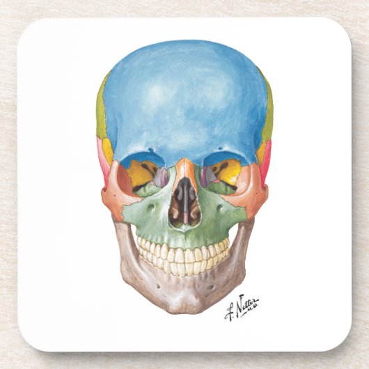 砂岩コースターの網打ちする人のスカル コースター (正面)