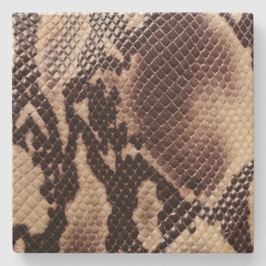 砂岩コースターヘビの皮 ストーンコースター (正面)