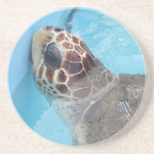 砂岩コースター