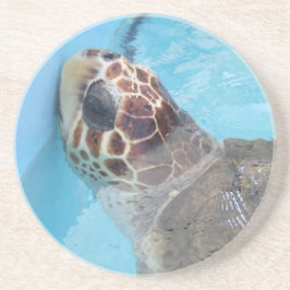 砂岩コースター コースター