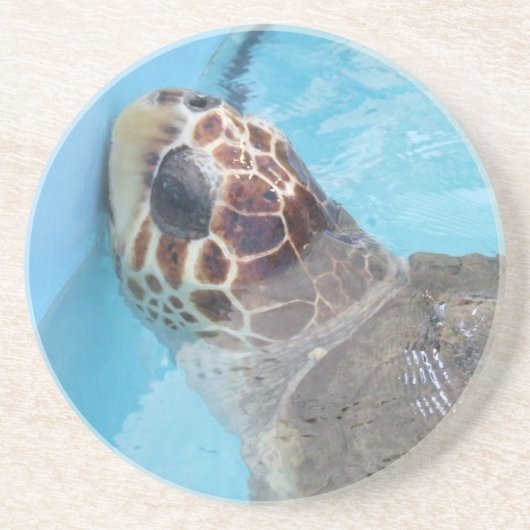 砂岩コースター コースター (正面)