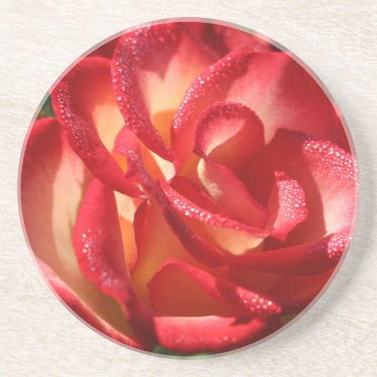 砂岩ドリンクコースター コースター (正面)