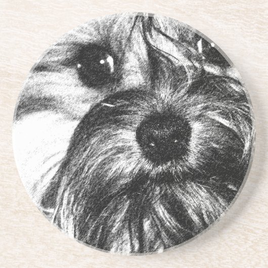 砂岩飲み物のコースター コースター (正面)