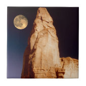 砂岩Pinacle タイル (正面)