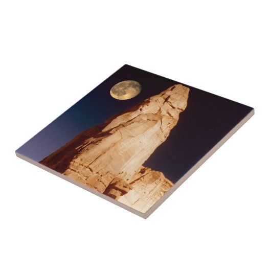 砂岩Pinacle タイル (側面)