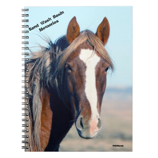 砂手洗い場のリコシェ ノートブック (正面)