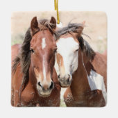 砂洗い流域野生の馬セラミックオーナメント セラミックオーナメント (正面)