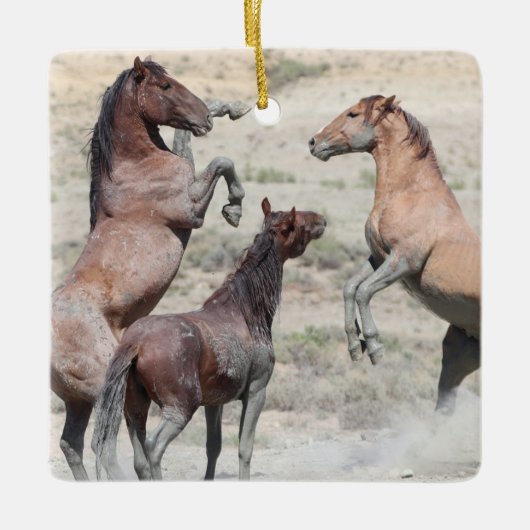 砂洗い流域野生の馬セラミックオーナメント セラミックオーナメント (正面)