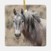 砂洗い流域野生の馬セラミックオーナメント セラミックオーナメント (正面)