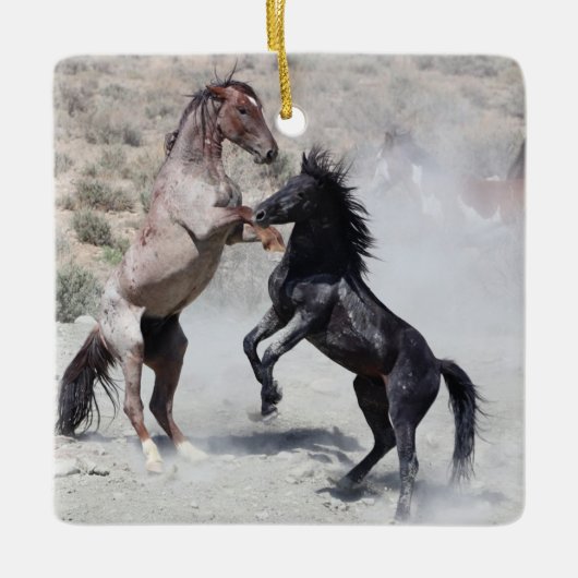 砂洗い流域野生の馬セラミックオーナメント セラミックオーナメント (正面)