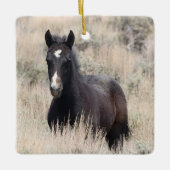 砂洗い流域野生の馬セラミックオーナメント セラミックオーナメント (正面)