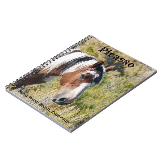 砂洗盆地のアイコン ノートブック (左側)