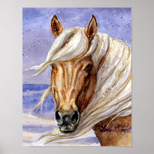 砂洗面コロラド州コロナド ポスター (正面)